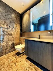 3 Cuscaden (D10), Apartment #446186291